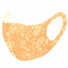 Load image into Gallery viewer, 12ct Cotton Face Mask Double Layer Fashionable Reusable Washable Paisley
