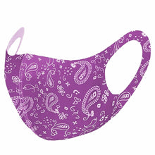 Load image into Gallery viewer, 12ct Cotton Face Mask Double Layer Fashionable Reusable Washable Paisley
