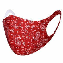 Load image into Gallery viewer, 12ct Cotton Face Mask Double Layer Fashionable Reusable Washable Paisley

