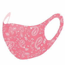 Load image into Gallery viewer, 96ct Face Mask Paisley Double Layer Fashionable Reusable Washable Soft
